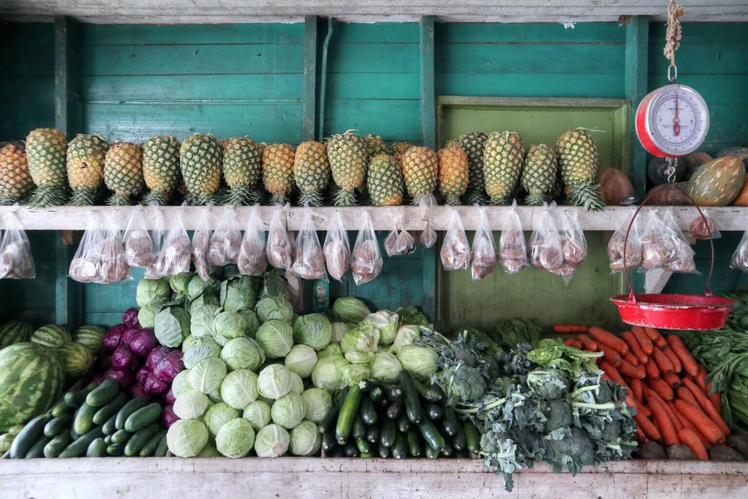 the-ultimate-guide-to-grocery-shopping-in-panama-boldly-panama